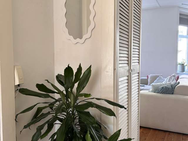 Whole 1 bedrooms apartment in Amsterdam Amsterdam