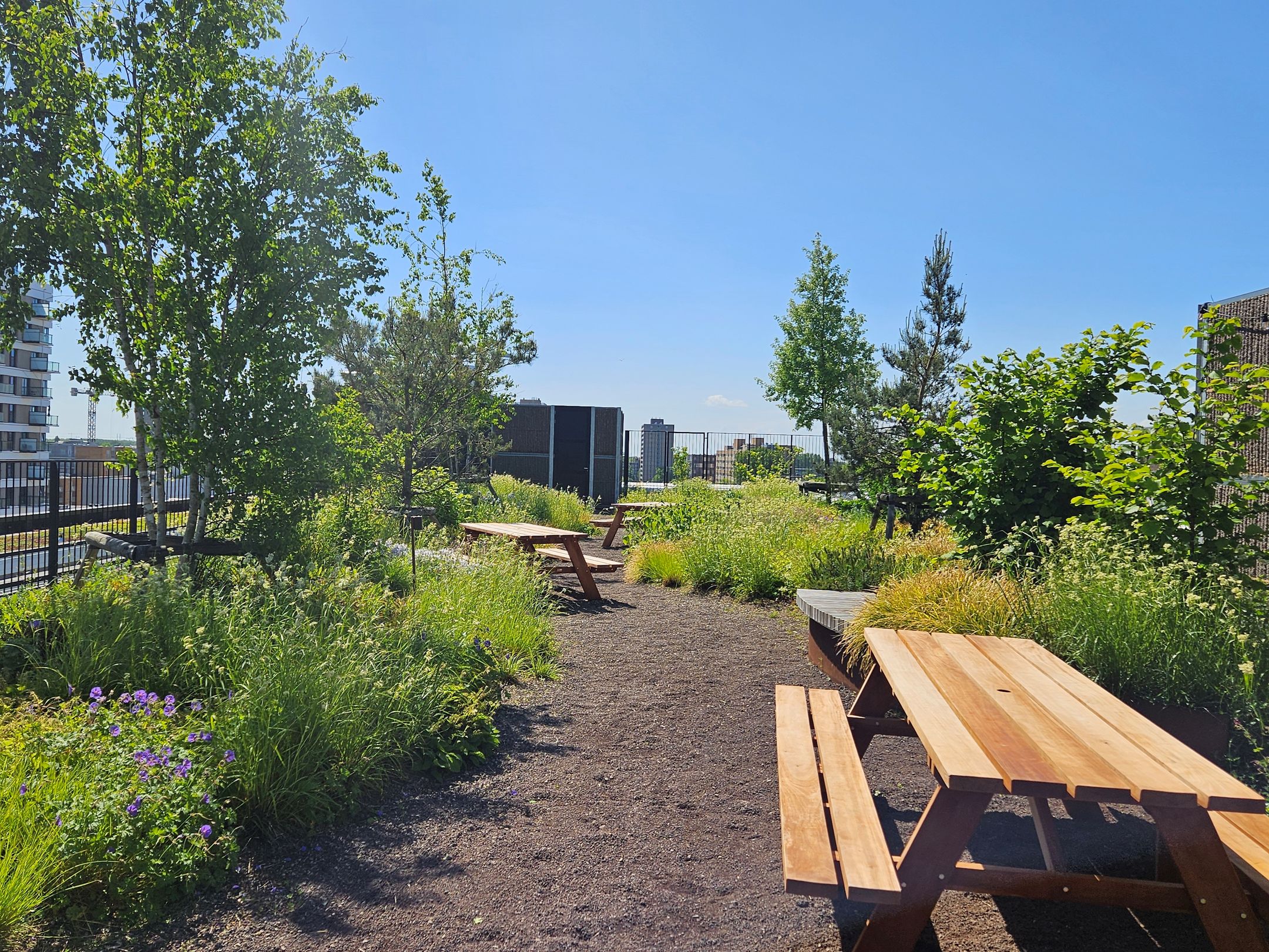 apartment for rent in Karspeldreef 16-B218 1101CK Amsterdam Amstel III deel A/B-Noord Amsterdam