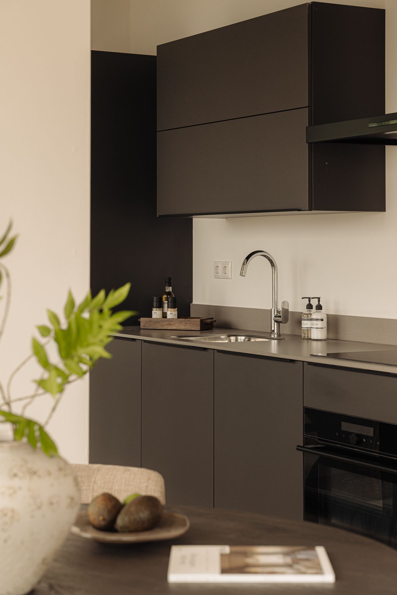 apartment for rent in Linnaeuspad 22- 1098AX Amsterdam Linnaeusparkbuurt Amsterdam