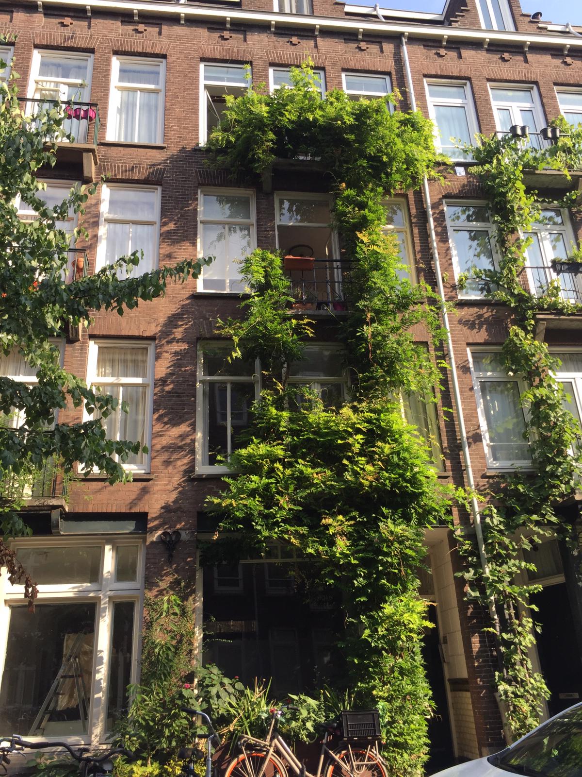 apartment for rent in Hoofdweg 620-E 2132MJ Haarlemmermeer Hoofddorp Centrum Oost Hoofddorp