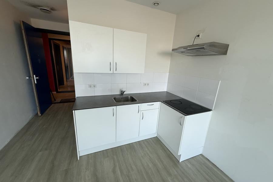 apartment for rent in Fritz Dietrich Kahlenbergstraat 42-A 1087LL Amsterdam Theo van Goghparkbuurt Amsterdam