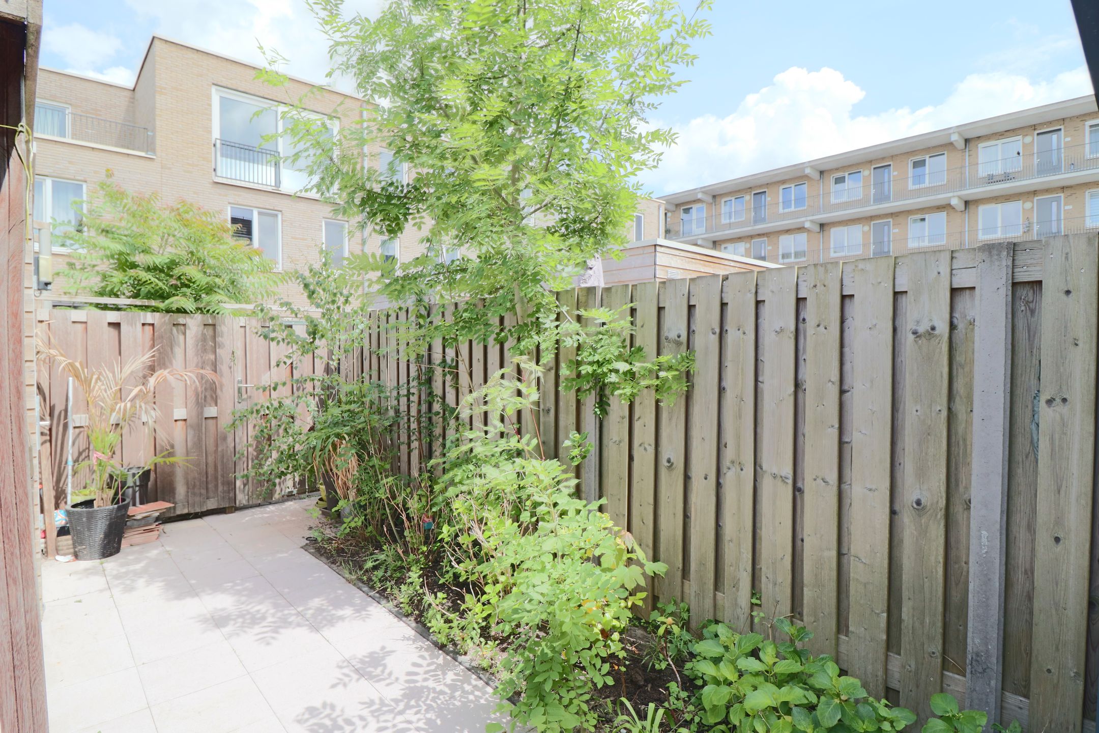 apartment for rent in Oleanderstraat 8- 3551GX Utrecht Egelantierstraat, Mariëndaalstraat e.o. Utrecht