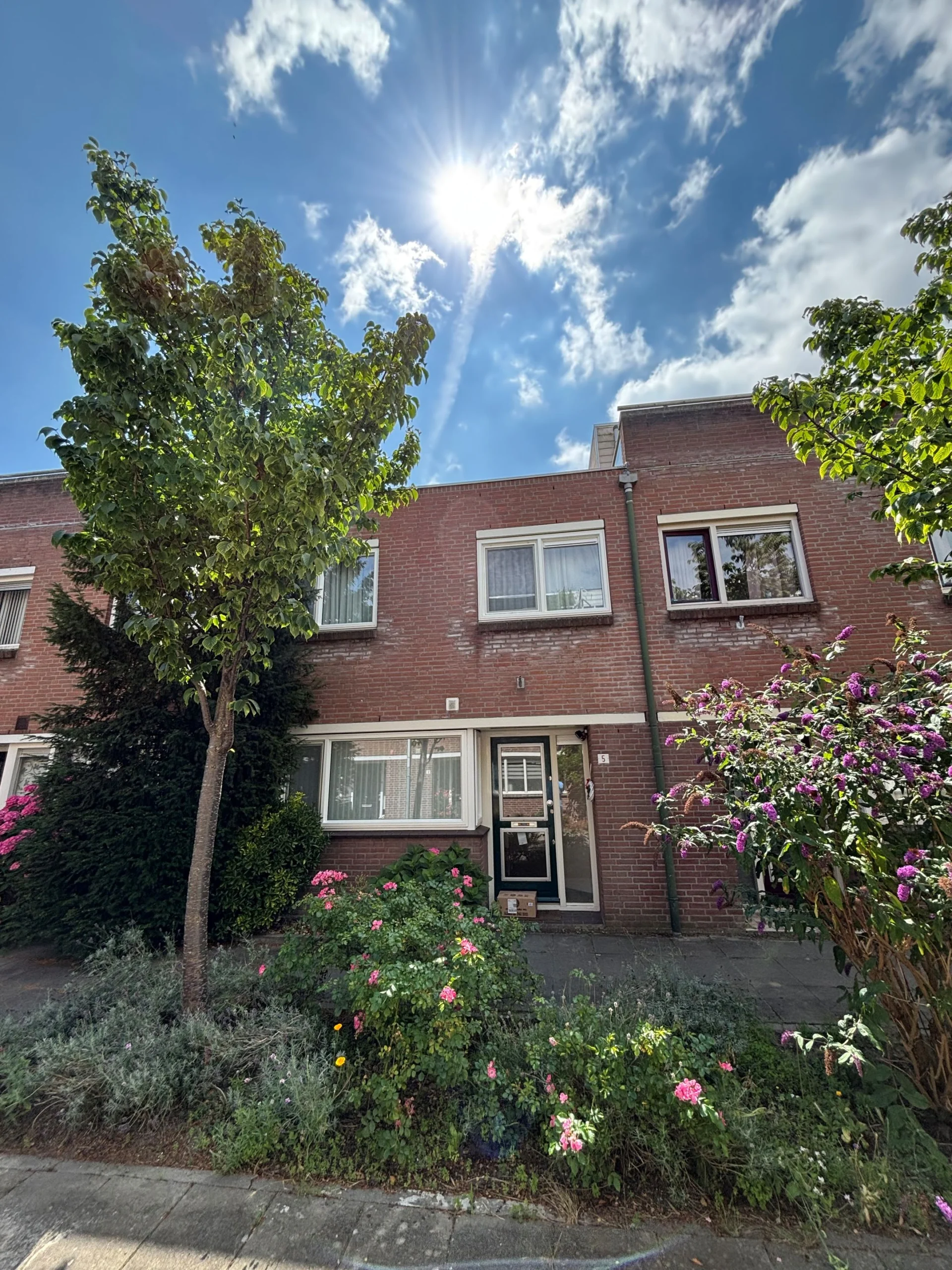 apartment for rent in Rosmolen 57- 1035CC Amsterdam Molenwijk Amsterdam