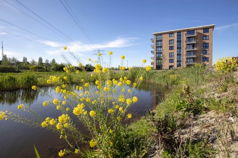 apartment for rent in Singel 109- 1381AT Amsterdam Weesp Centrum Weesp