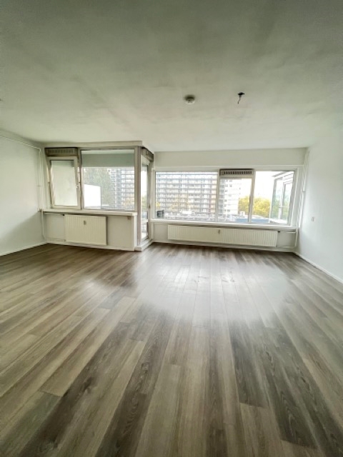 1 bedroom Surface Area: 81m2