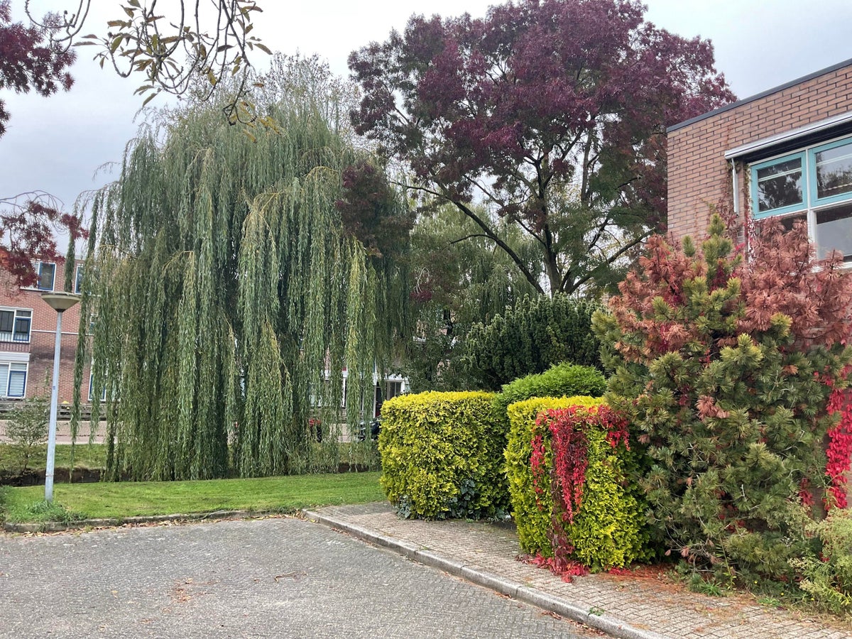 Kamer te huur Warmelo in Huizen voor € 363