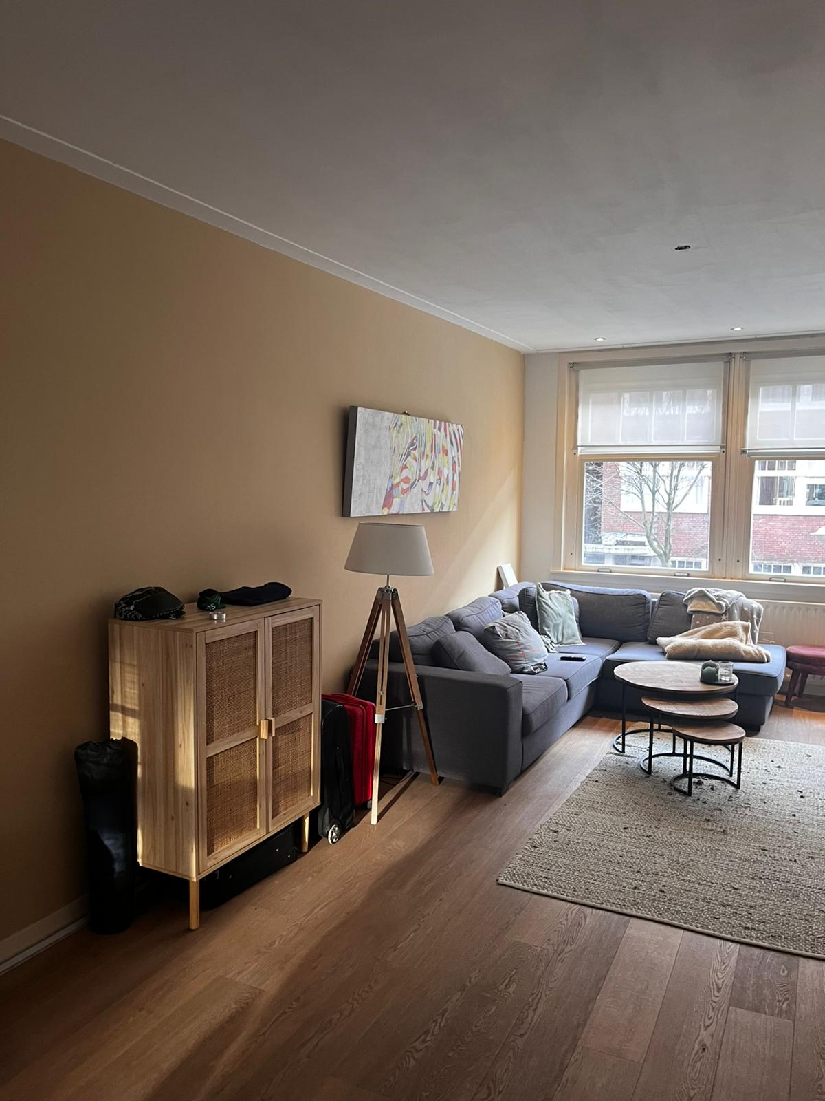 Looking for roommate in Rivierenbuurt from March