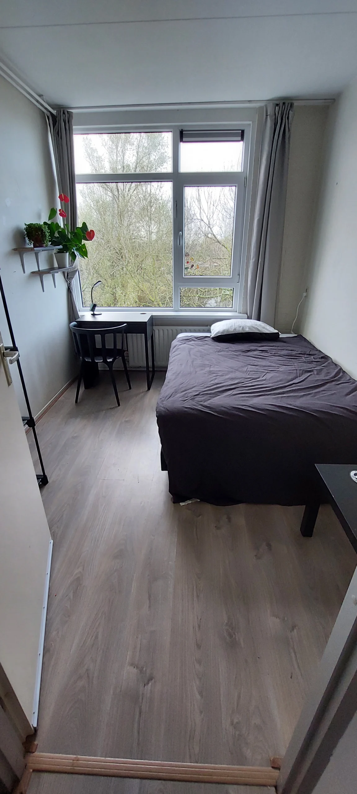 Room Noord Amsterdam - Only for Woman