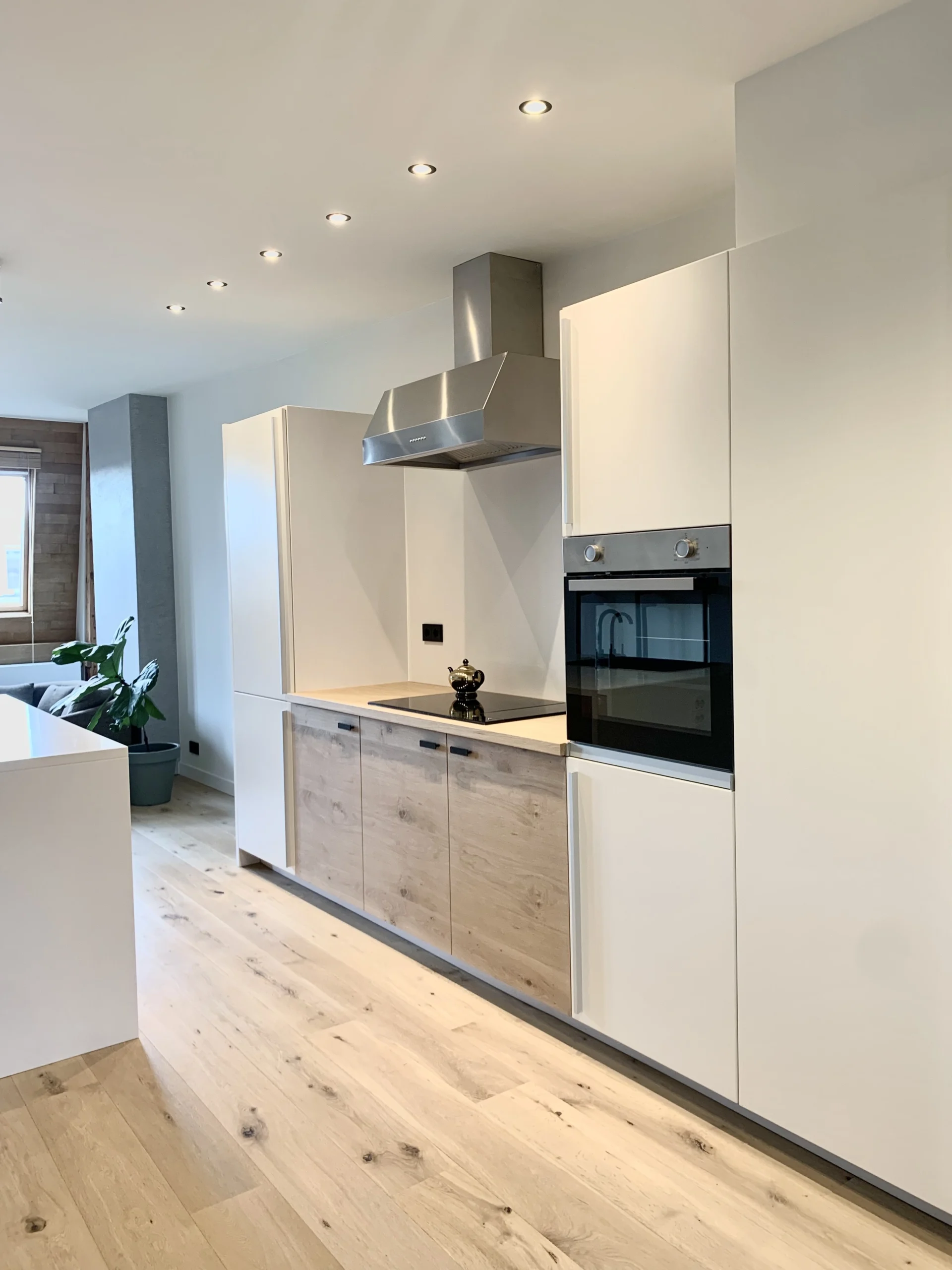 Ruyschstraat, 1091 BZ AMSTERDAM