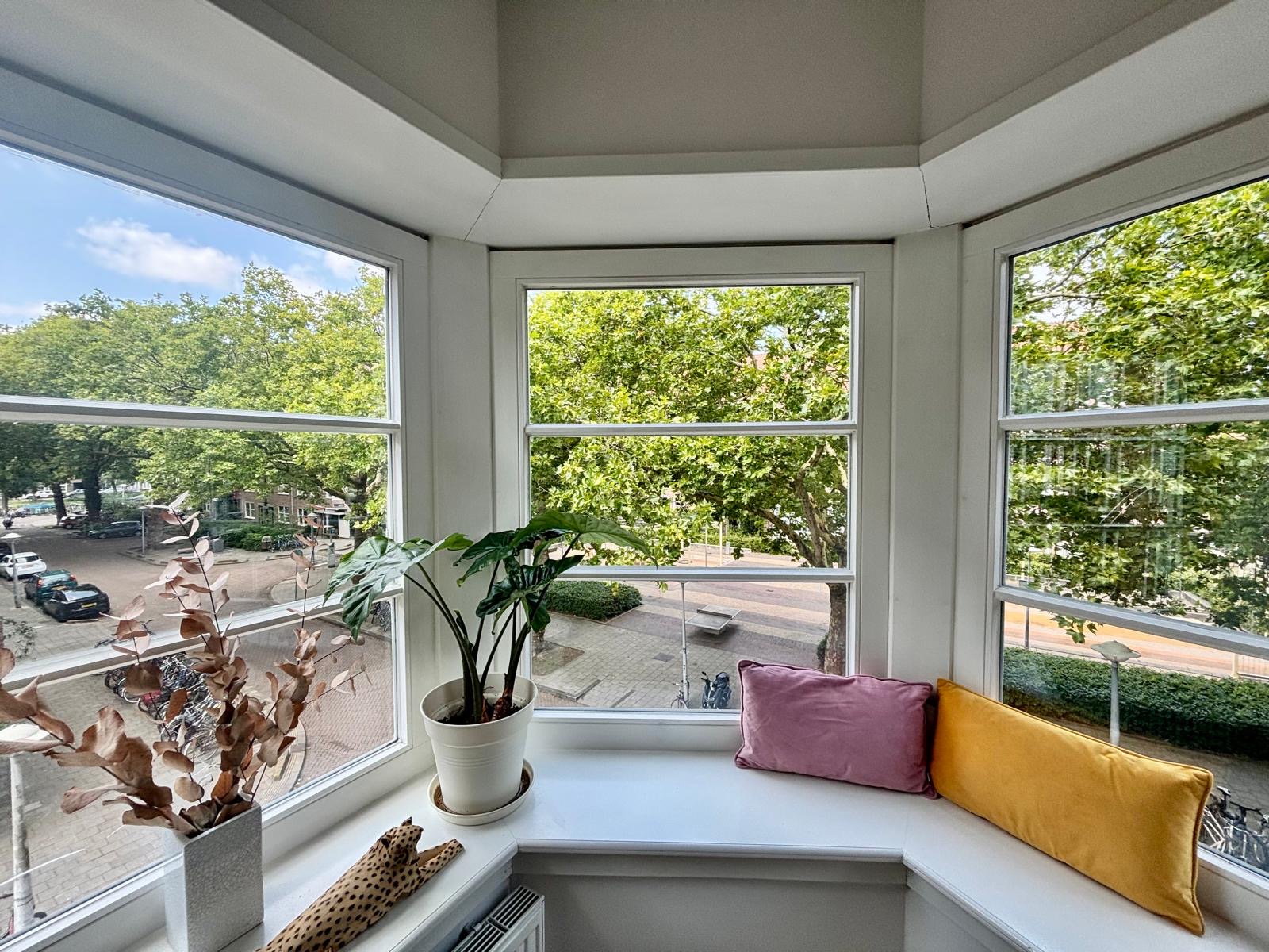 Pieter van der Doesstraat