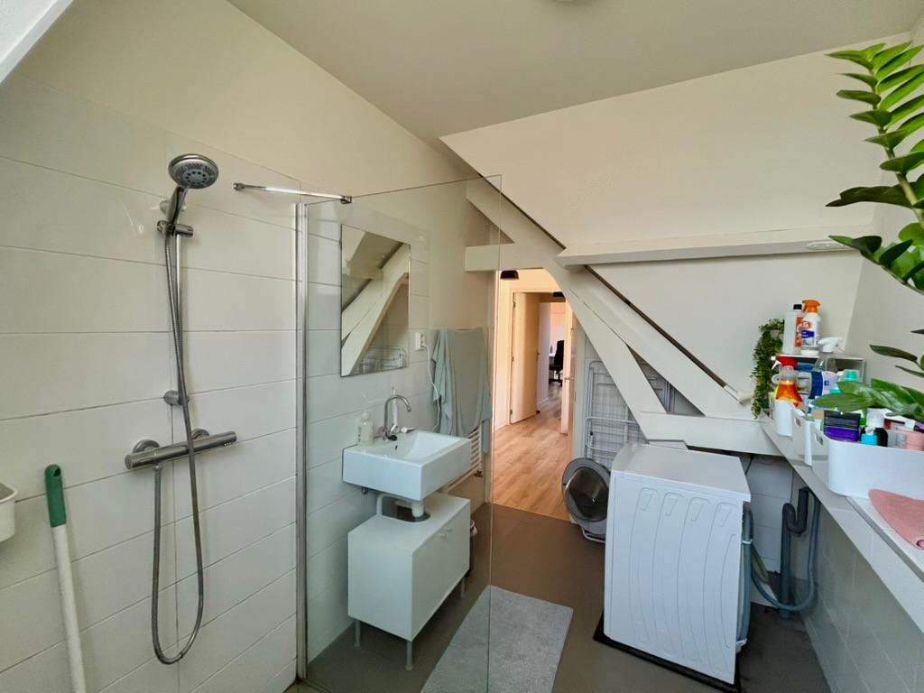 Paleis in het noorden zoekt huisgenoot