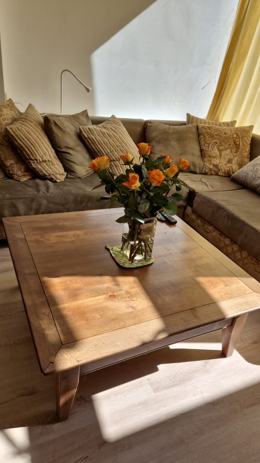 Zuid near Amstelpark - FEMALE only