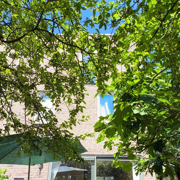 Furnished Room Near Utrecht - Safe & Green area