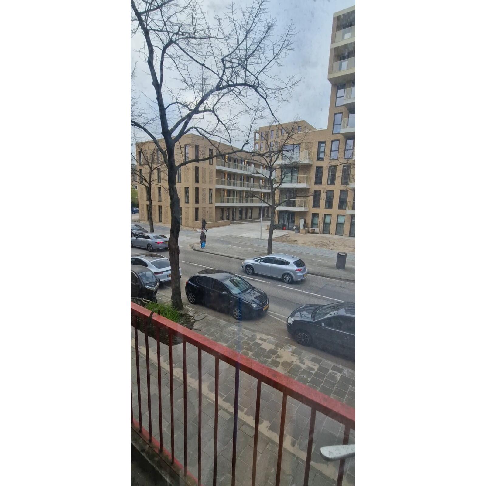 Werengouw 125