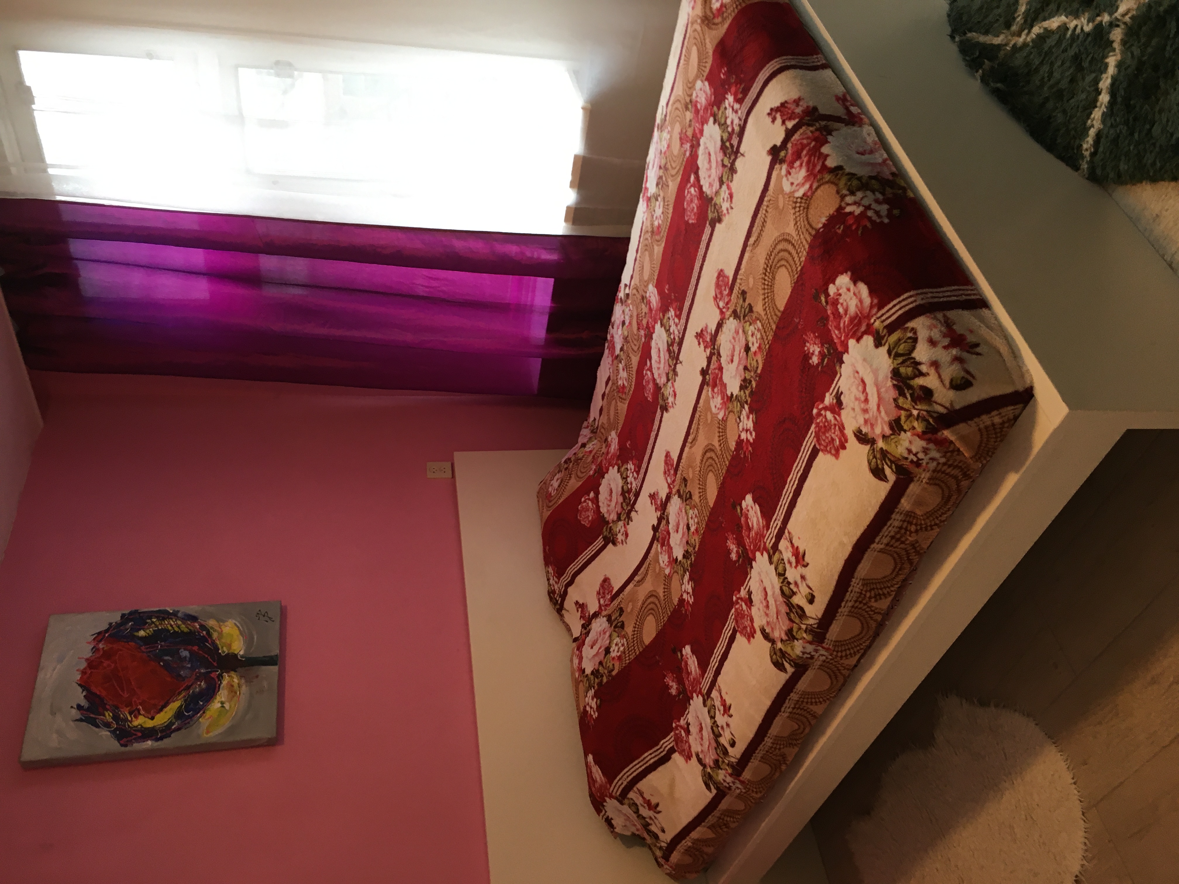 Groot kamer in het centrum van Amsterdam te huur