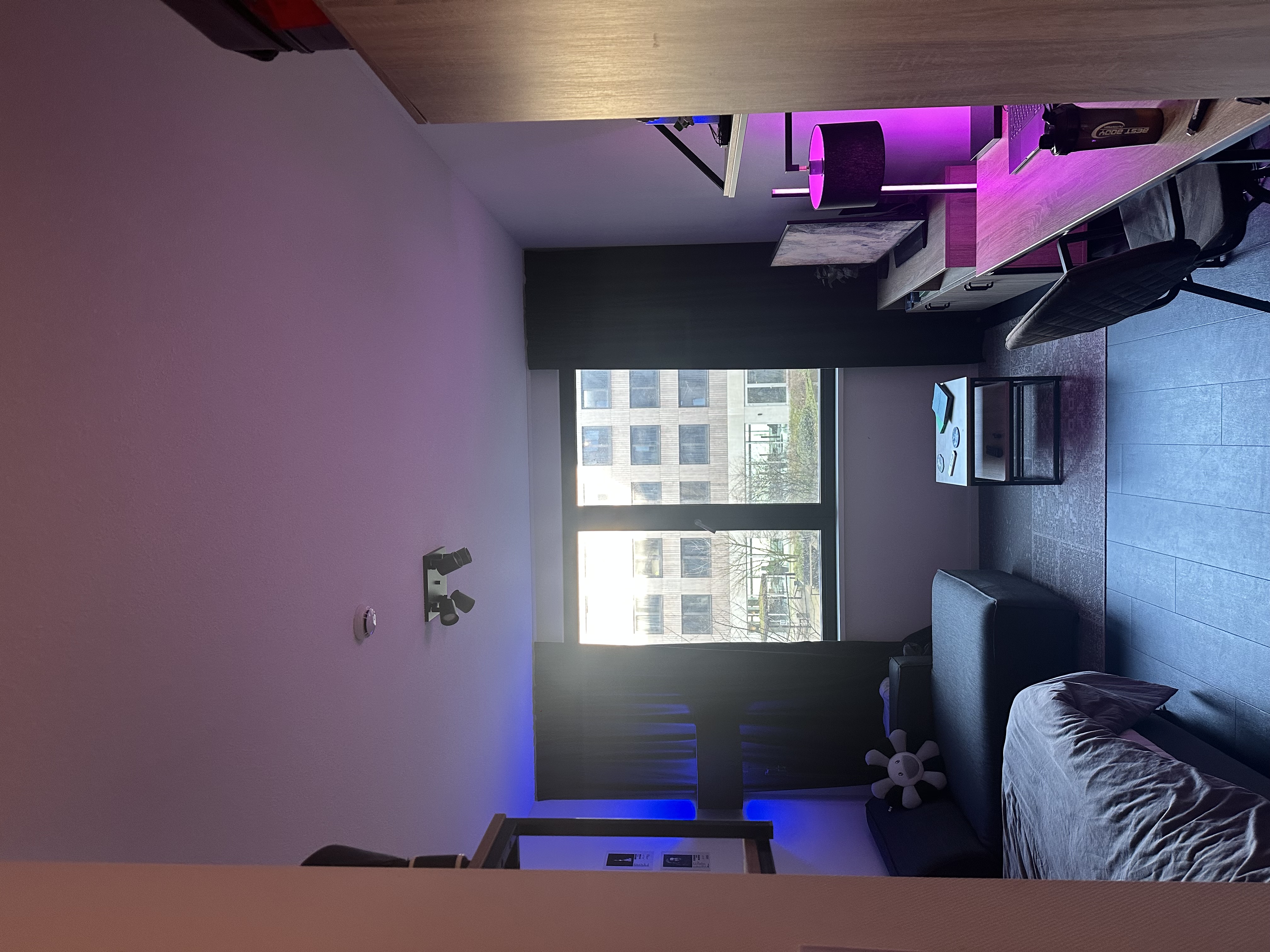 Student experience Minervahaven studio