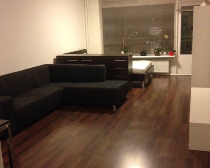 FOR RENT: Furnished apartment