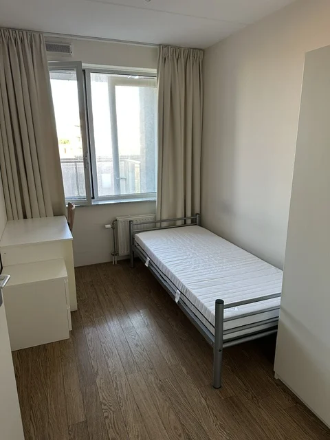Room for rent!