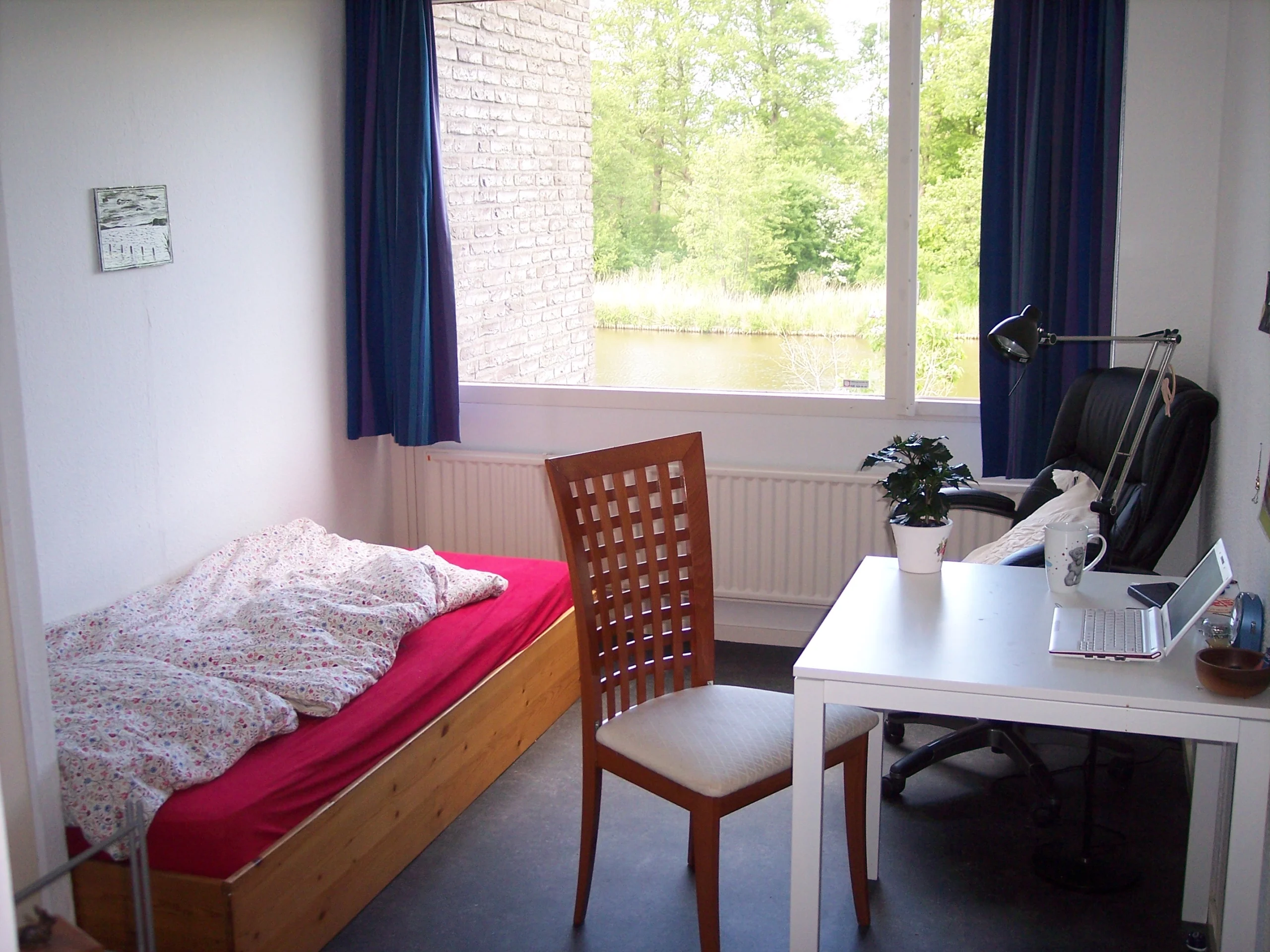 Kamer in groene omgeving