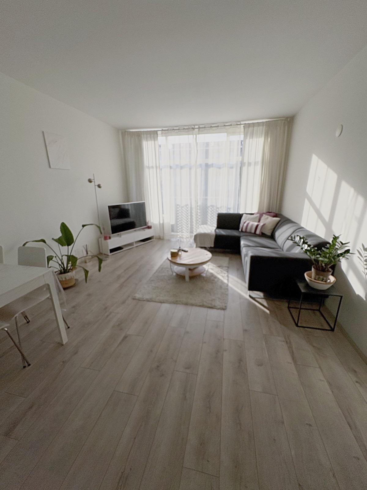 comfortable room in Amsterdam-West