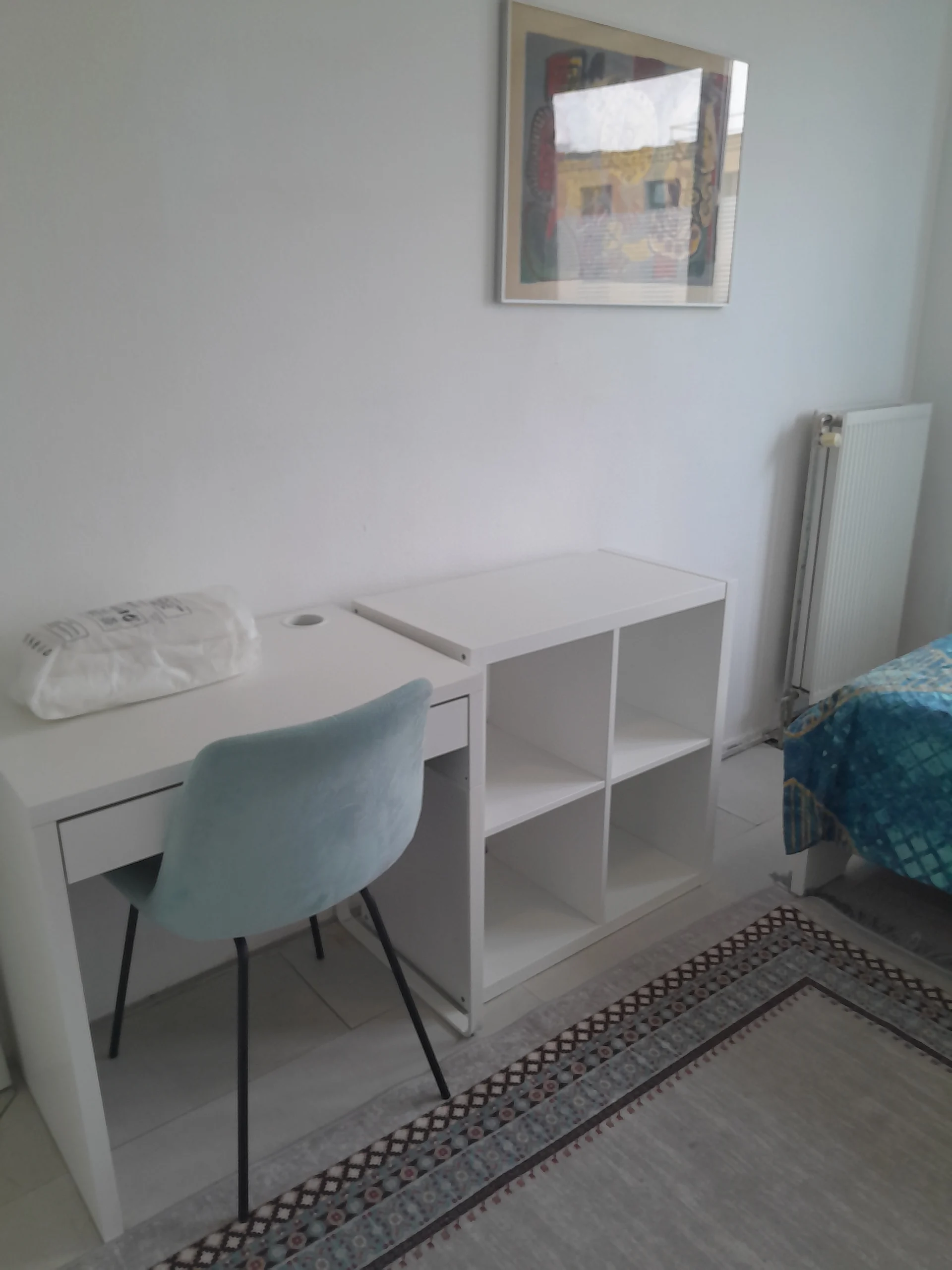 Gezellige kamer in Amsterdam alleen voor vrouwen