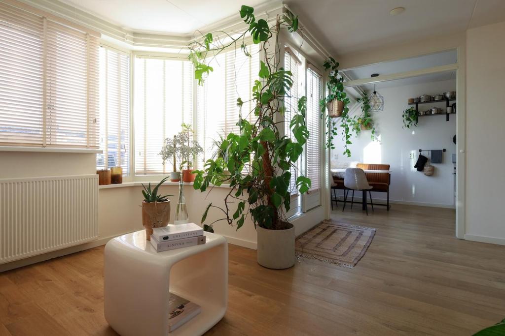 Spacious 1-Bedroom Apartment (70 m²) with Balcony & Terrace - Amsterdam Oost