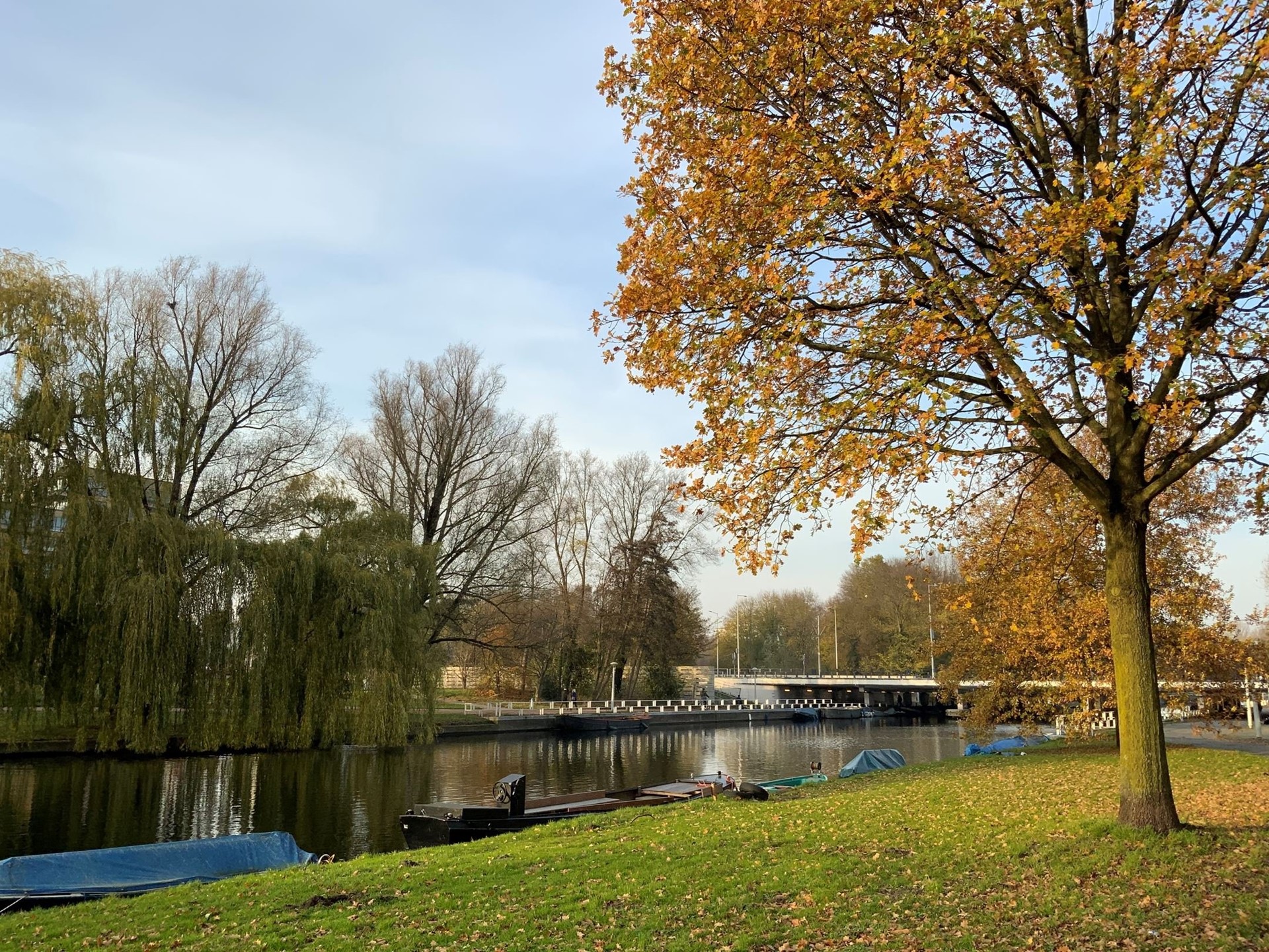 Te huur: Warmondstraat 49-1, 1058 KP Amsterdam | VVA