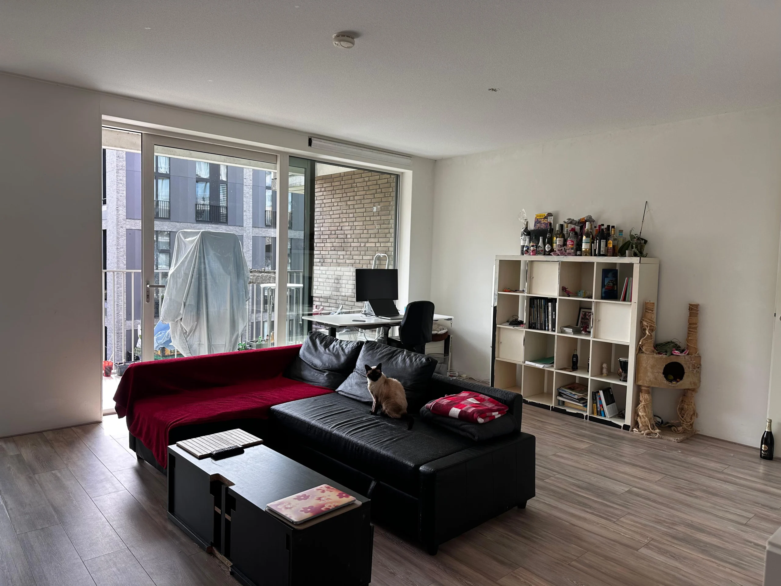 Groot appartement Amstelkwartier