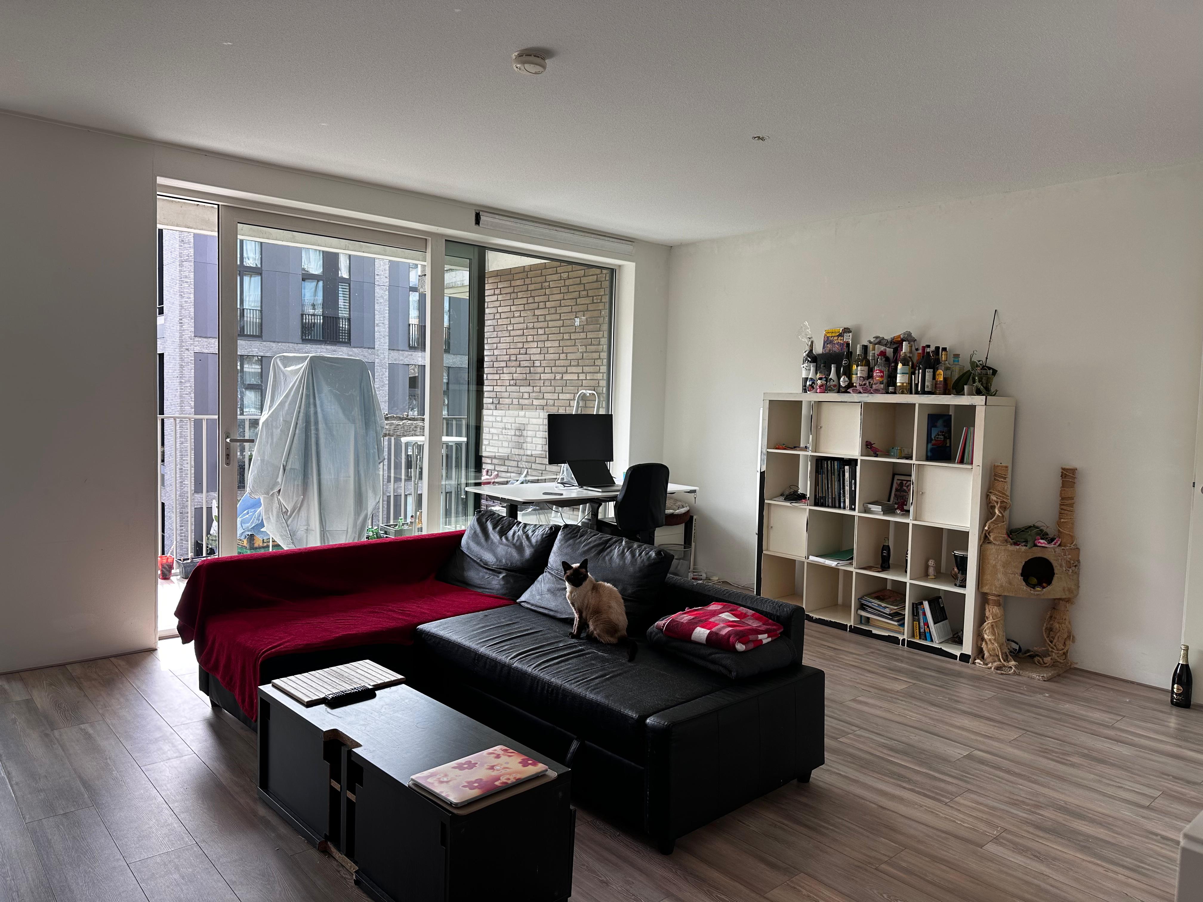 Groot appartement Amstelkwartier