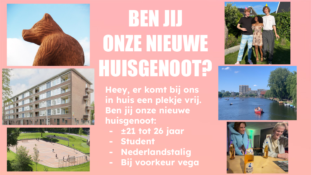 Huisgenoot gezocht!