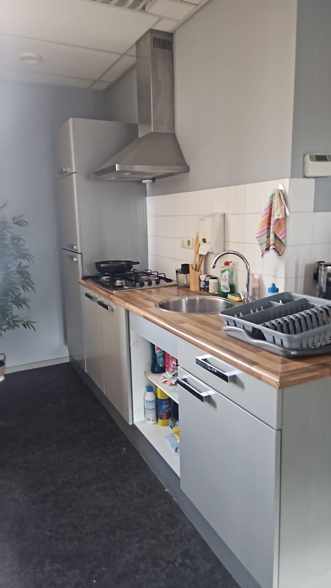 Te huur: Appartement Zwanenburgerdijk in Zwanenburg