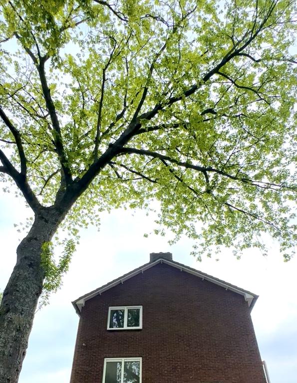 Appartement te huur Van Hasseltlaan in Hilversum voor € 2.050