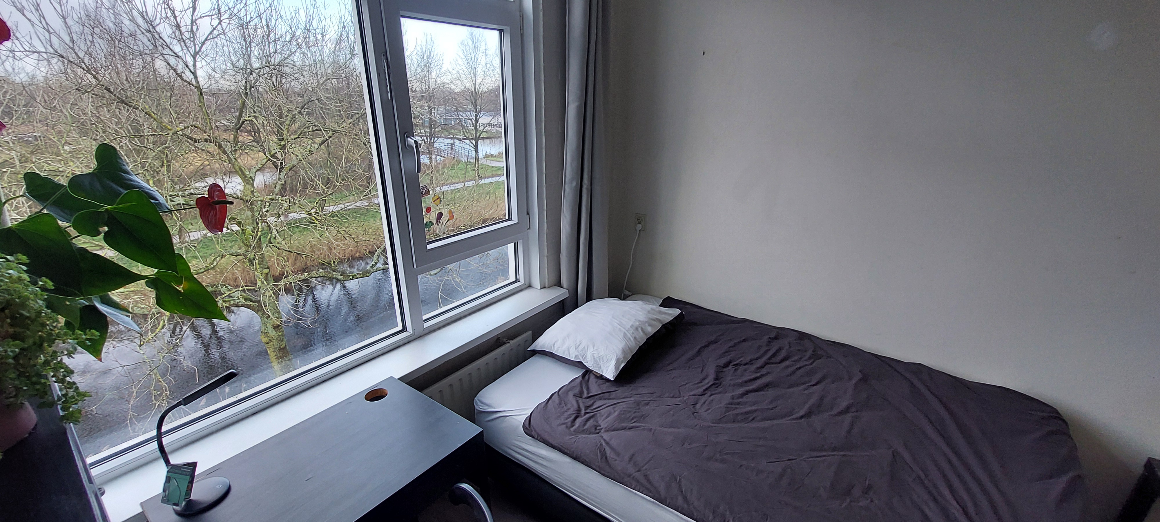 Kamer te huur in Amsterdam-Noord - Alleen vrau