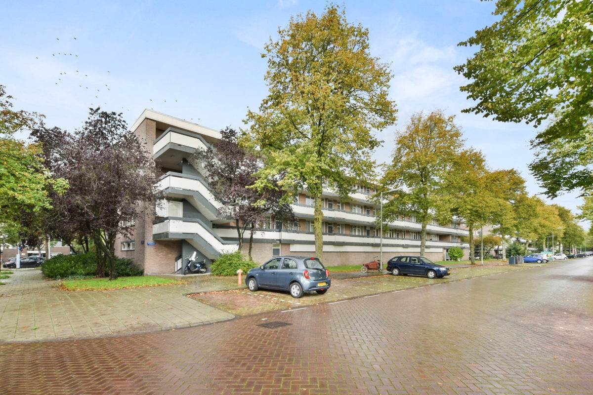 Te huur: Huis Bolestein 366 in Amsterdam