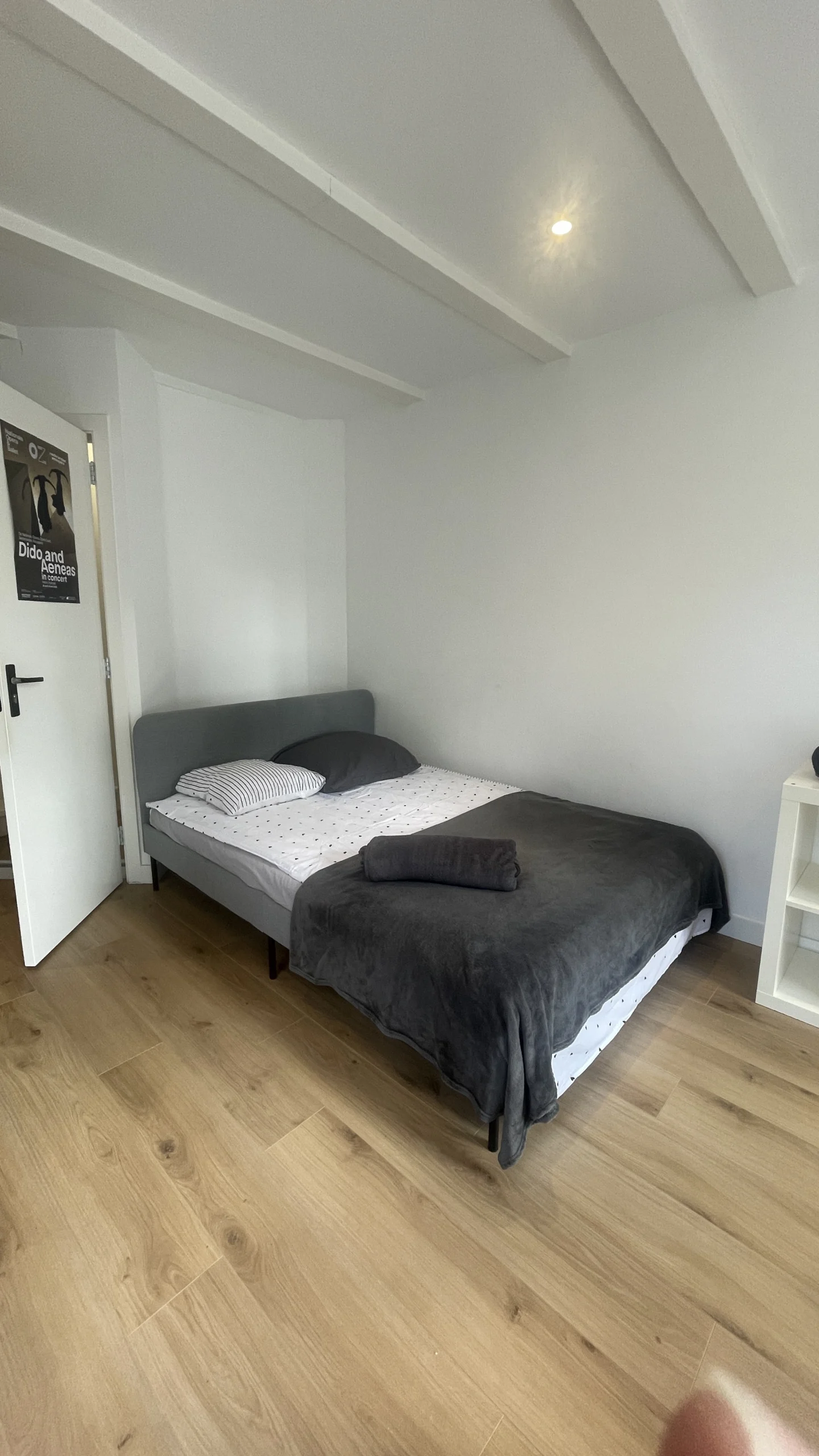 Private room in Amsterdam
