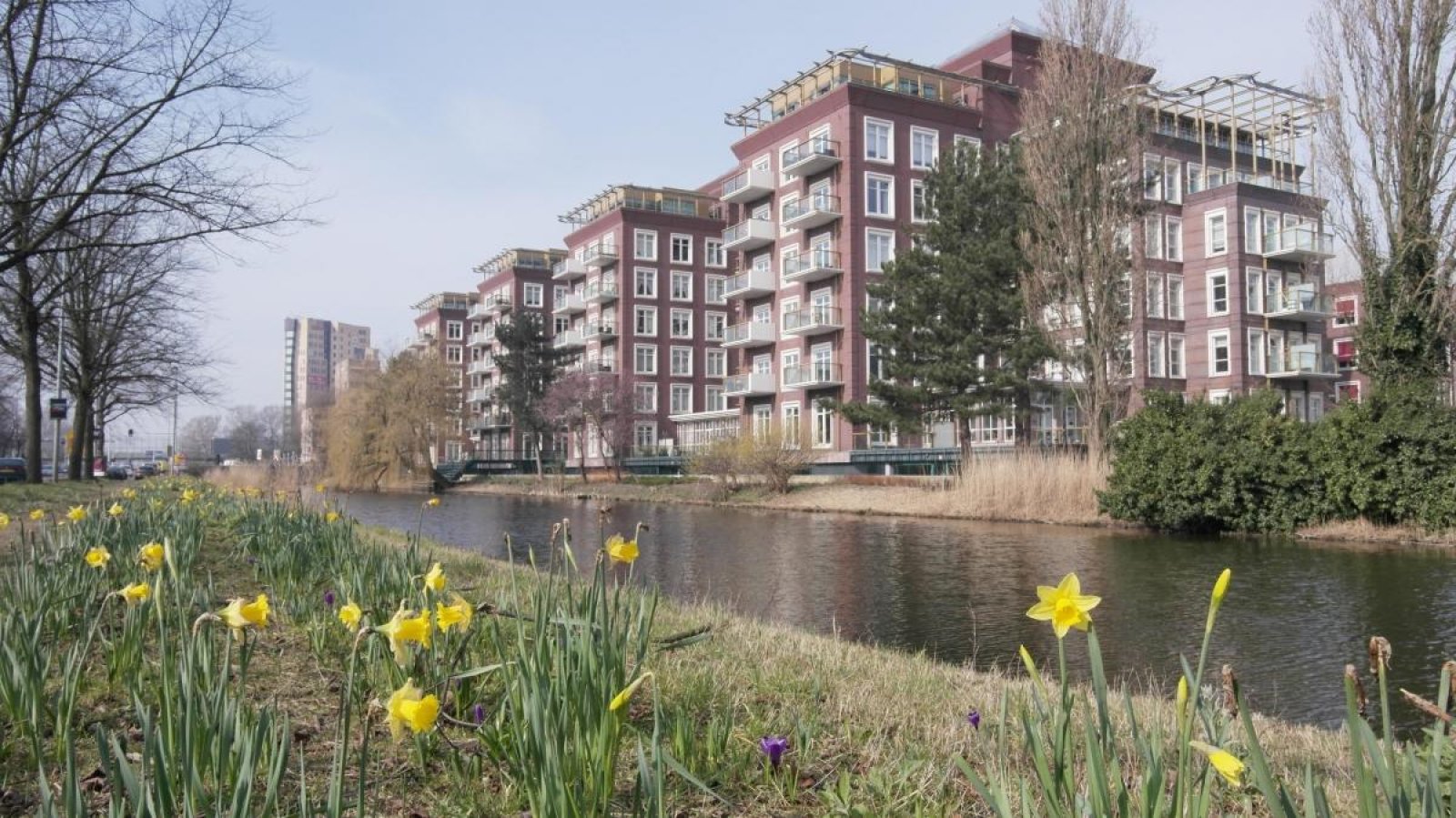 MVGM - Te huur: Molenwerf + ppl 107 10 b8, amsterdam