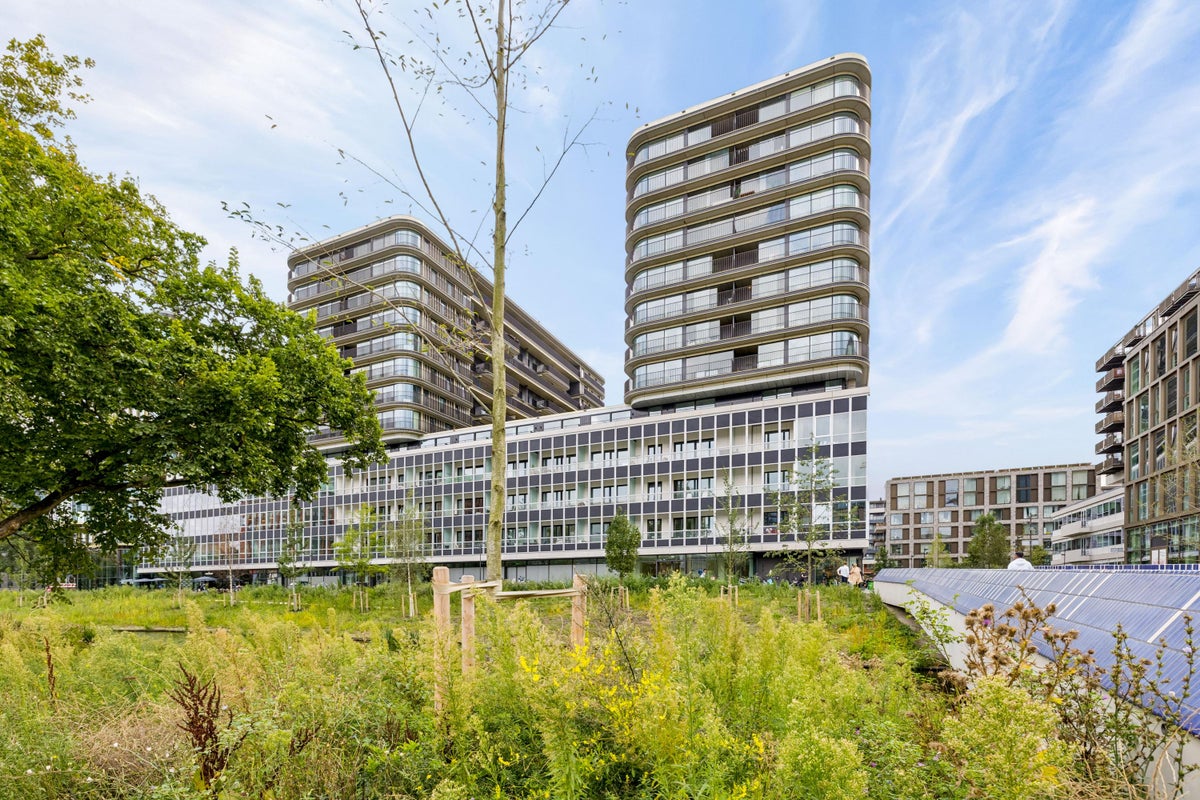 Te huur: Appartement Elizabeth Anscombestraat 557 in Amsterdam