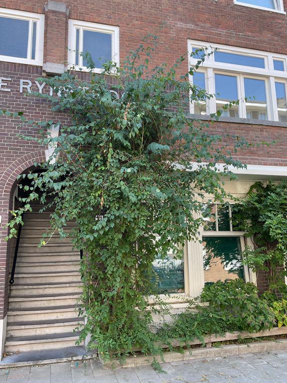 Bovenwoning in Amsterdam