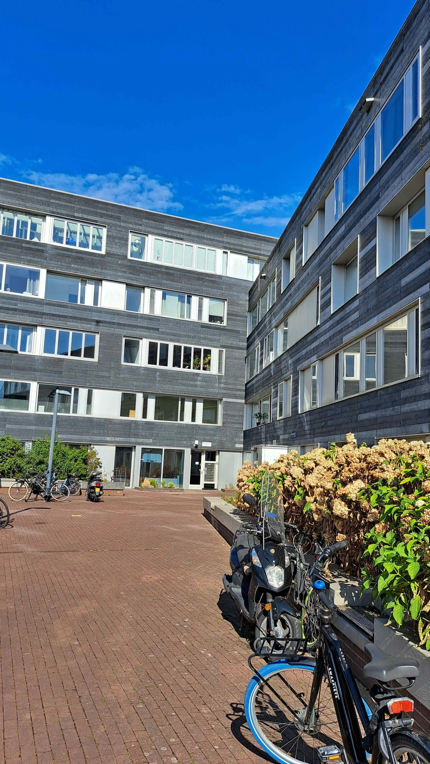 Corridorflat in Amsterdam