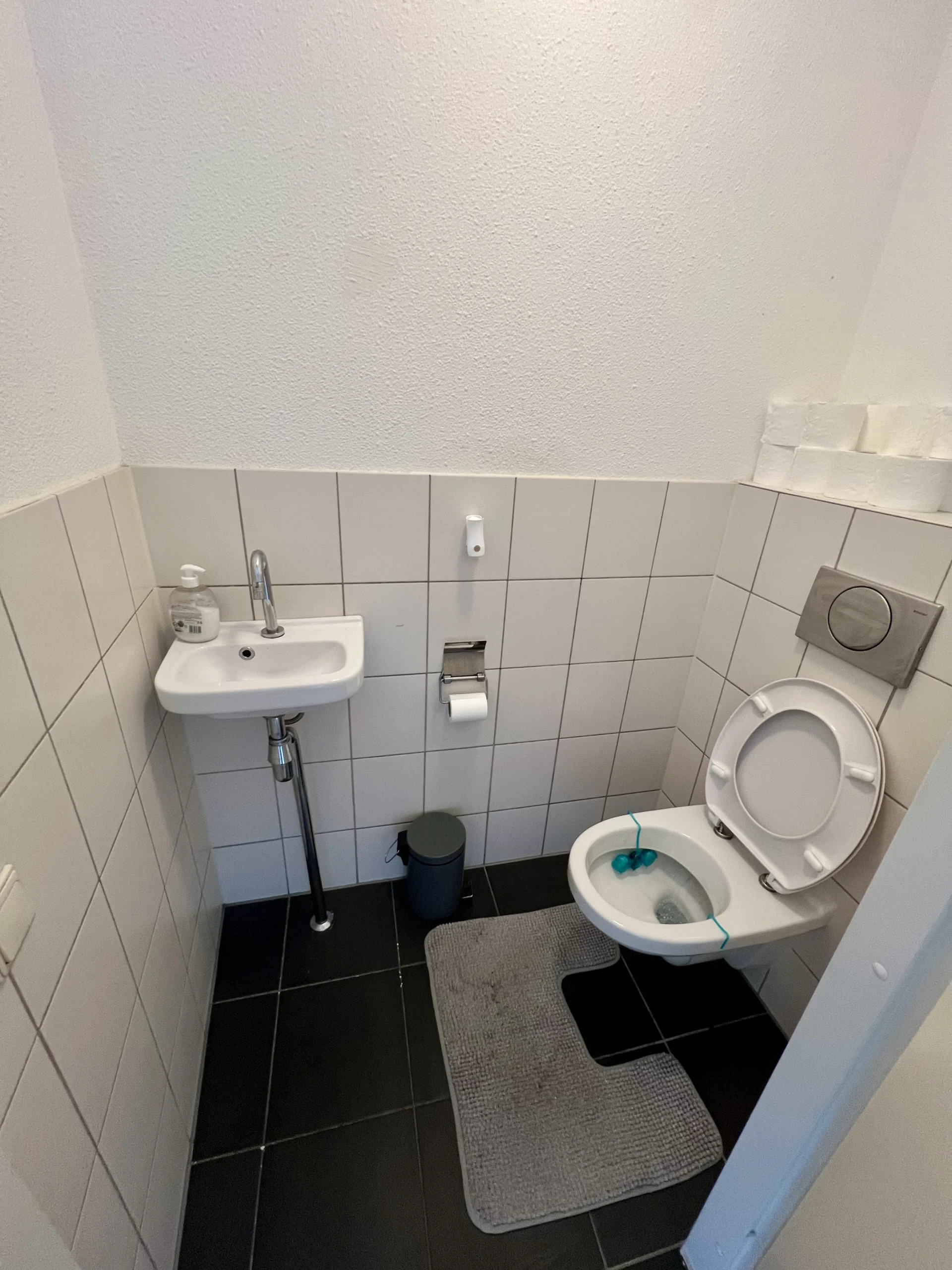Wittgensteinlaan