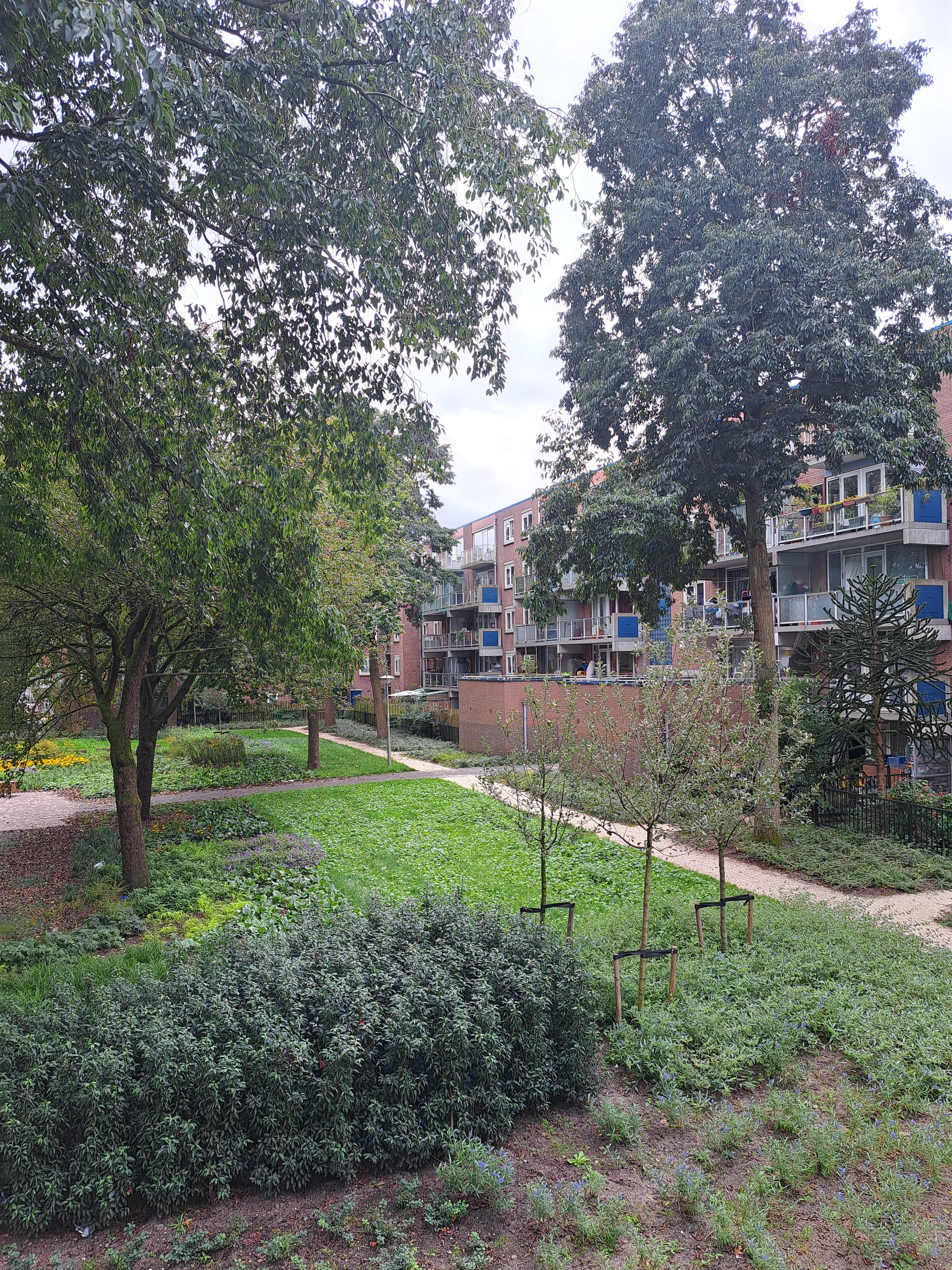 Corridorflat in Amsterdam